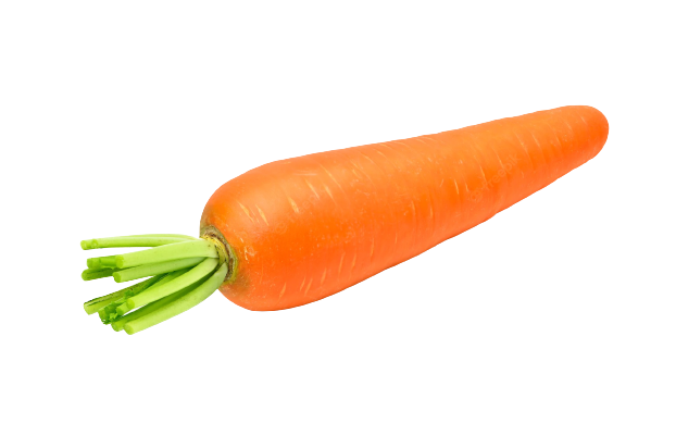 carrot fresh fruit